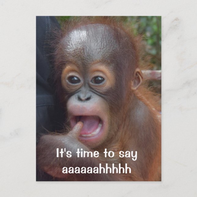 Fun Dentist Appointment Reminder Postcard (Front)