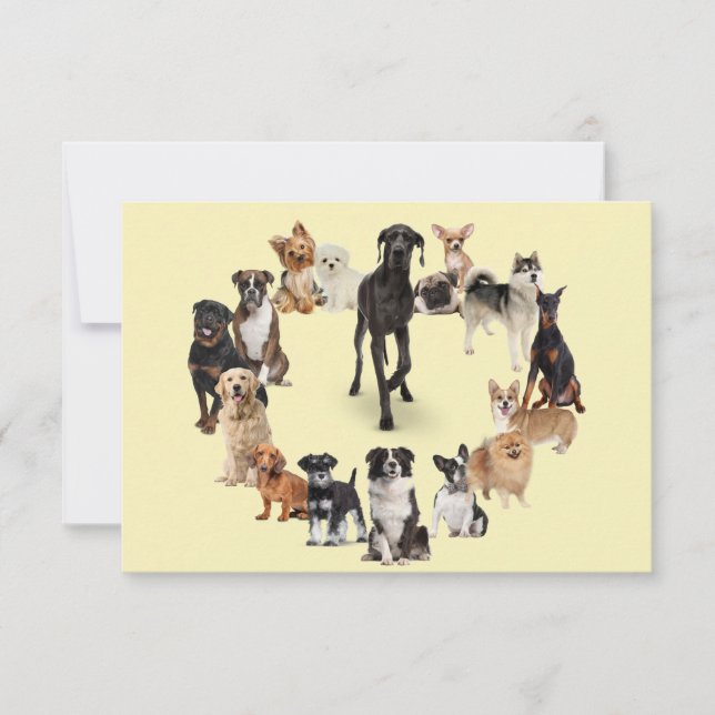 Fun Dog Breed Pet Animals Dog  Card (Front)