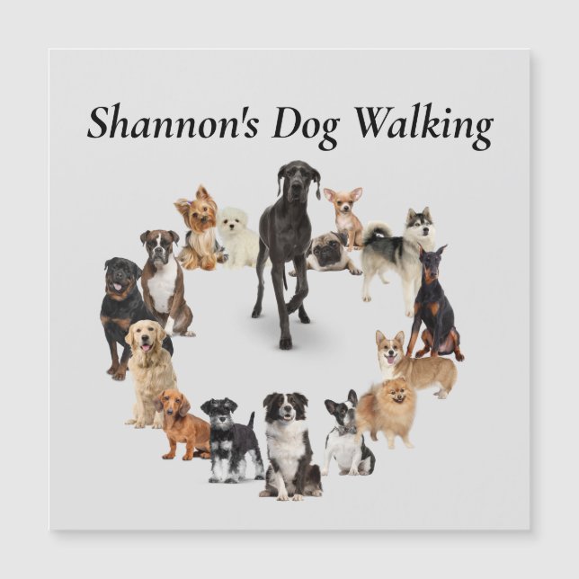 Fun Dog Breed Pet Animals Dog Walking Postcard (Front)