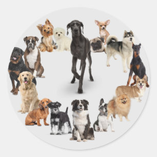 Fun Dog Breed Pet Animals Dog Walking Postcard Hea Classic Round Sticker