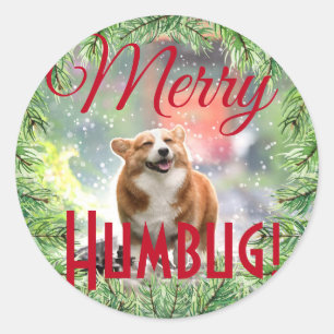 Fun Dog Photo Christmas Wreath Merry Humbug Classic Round Sticker