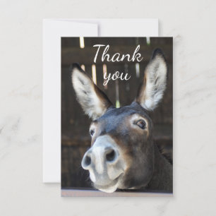 Fun Donkey, Burro, Farm Animal Humour Thank You