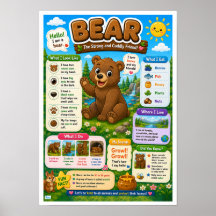 Fun Facts About Bears For Kids