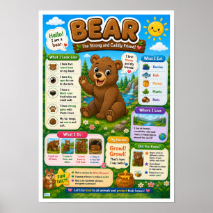 Fun Facts About Bears For Kids Poster