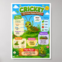 Fun Facts About Cricket For Kids