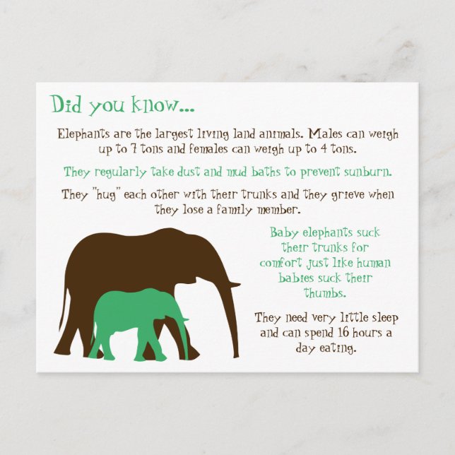 Fun Facts About Elephants Postcard (Front)