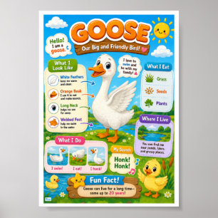 Fun Facts About Goose For Kids Poster
