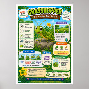 Fun Facts About Grasshopper For Kids Poster