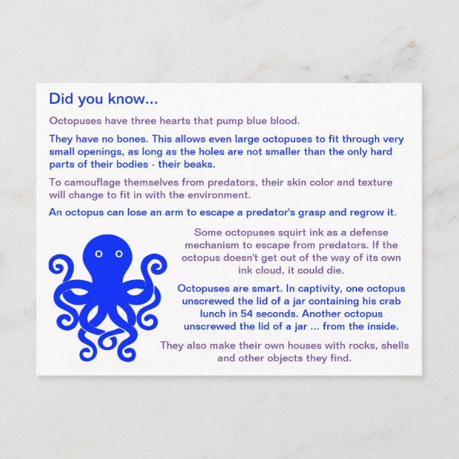 Fun Facts About Octopuses Postcard (Front)