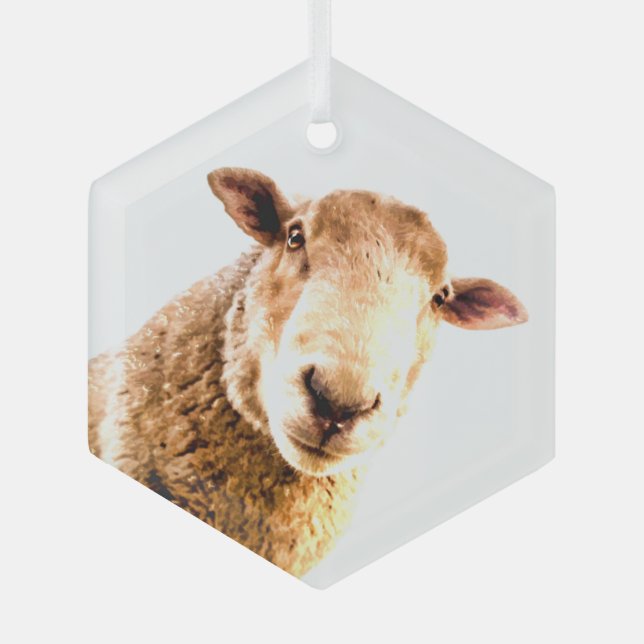 Fun Farm Animal Sheep  Glass Tree Decoration (Front)