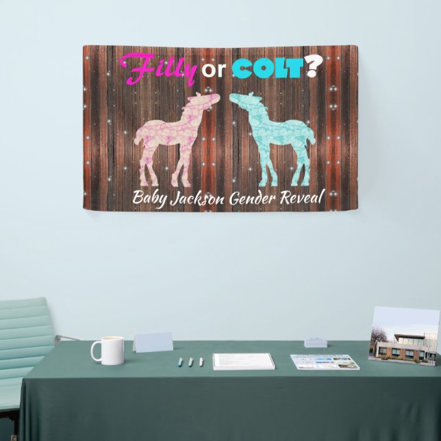 Fun "Filly or Colt" Gender Reveal Banner (Tradeshow)