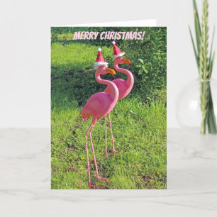 Fun Flamingo Christmas Greeting Card! Holiday Card
