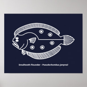 Fun Flounder Fish in White on Deepest Blue Poster