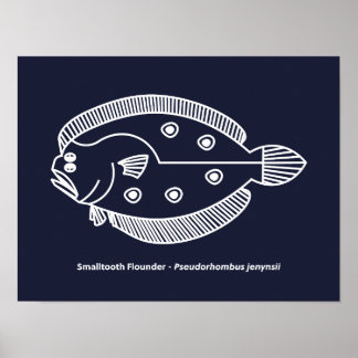 Fun Flounder Fish in White on Deepest Blue Poster