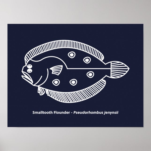 Fun Flounder Fish in White on Deepest Blue Poster (Front)