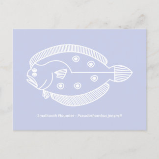 Fun Flounder Fish in White on Light Purple Postcard
