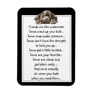 Fun Friend are like Underwear Quote with Dog Magnet