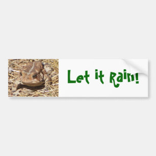 Fun Frog Bumpersticker for fellow drought victims Bumper Sticker