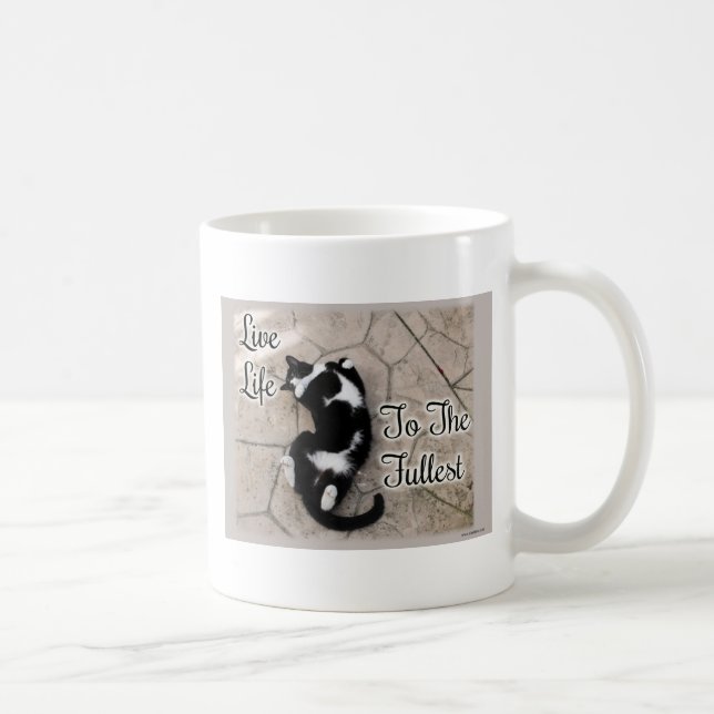 Fun Full Life Motivational Cat Photo Quote Coffee Mug (Right)
