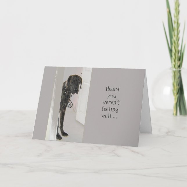 Fun Get Well Great Dane Dog Dogter (doctor) Humour Card (Front)