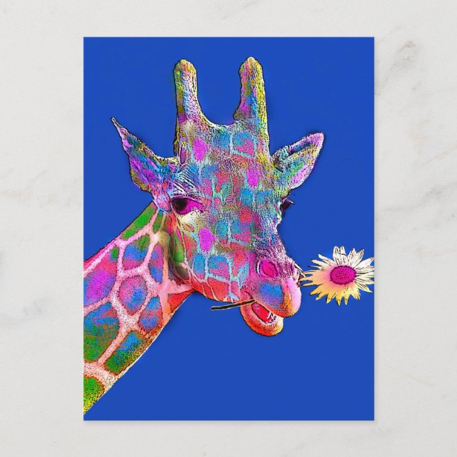 Fun Giraffe Sunflower Colours Postcard (Front)