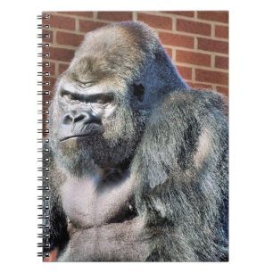 FUN GORILLA NOTEBOOK