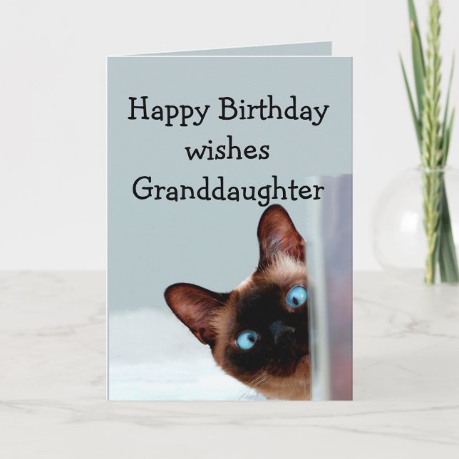 Fun Granddaughter  Birthday Wishes Siamese Cat Card (Front)