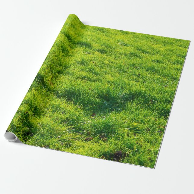 Fun Green Grass Print Wrapping Paper (Unrolled)