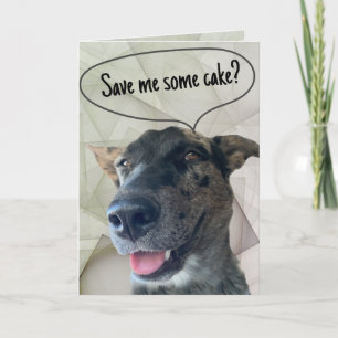 Fun Grey Brindle Cattle Dog Photograph Card