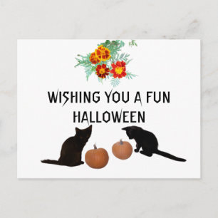Fun Halloween Orange Pumpkins Marigolds Black Cats Postcard