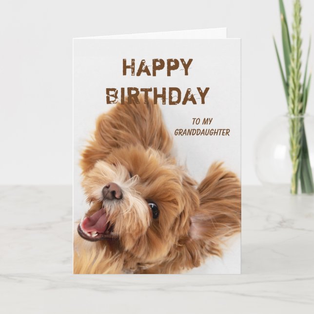 Fun Happy Birthday Granddaughter Cute Dog Puppy  Holiday Card (Front)