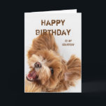 Fun Happy Birthday Grandson Cute Dog Puppy Holiday Card<br><div class="desc">Celtic Blessings Christmas for Anyone for you to send to your favourite friends,  family or others
Fun Happy Birthday Grandson Cute Dog Puppy</div>