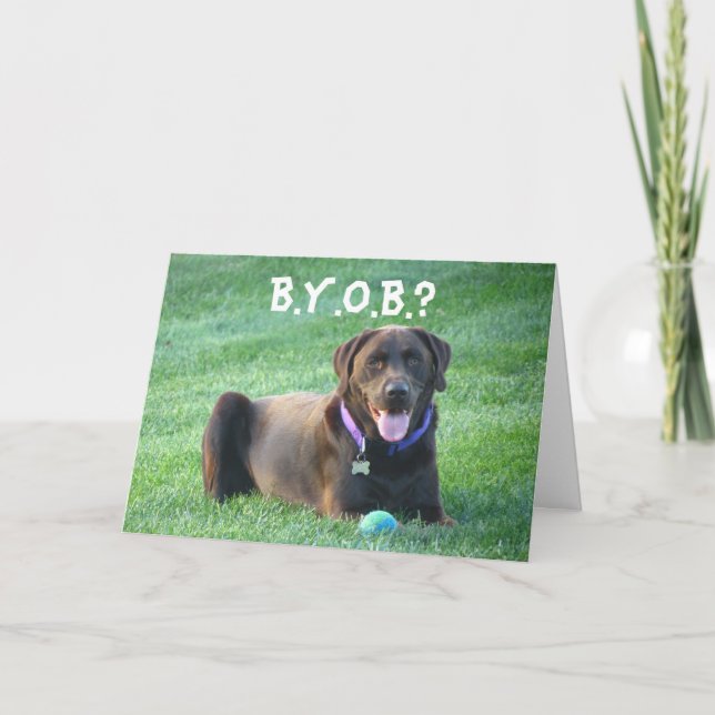 Fun Happy Birthday Greeting Card! 4 Dog Lovers! Card (Front)
