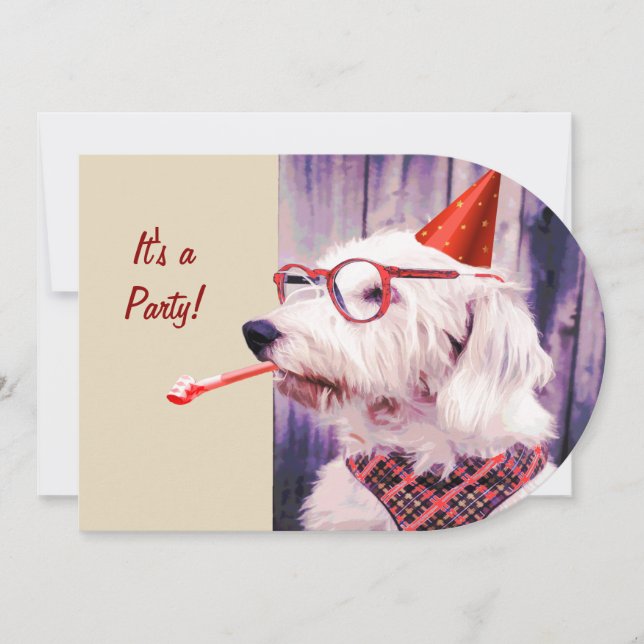 Fun Happy Cute Dog Birthday Party Hat Glasses Invitation (Front)