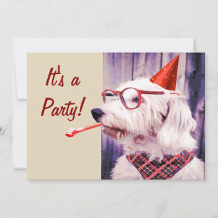 Fun Happy Cute Dog Celebrating Party Hat Glasses Invitation