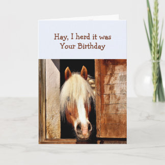 Fun Hay I herd it was your Birthday Horse peeking  Card