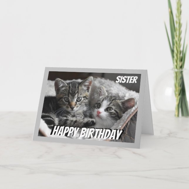 Fun Heart to Heart Sister Birthday Cat Animal Card (Front)