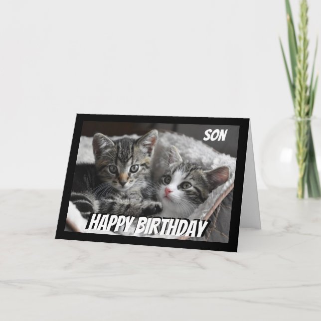 Fun Heart to Heart Son Birthday Cat Animal Card (Front)