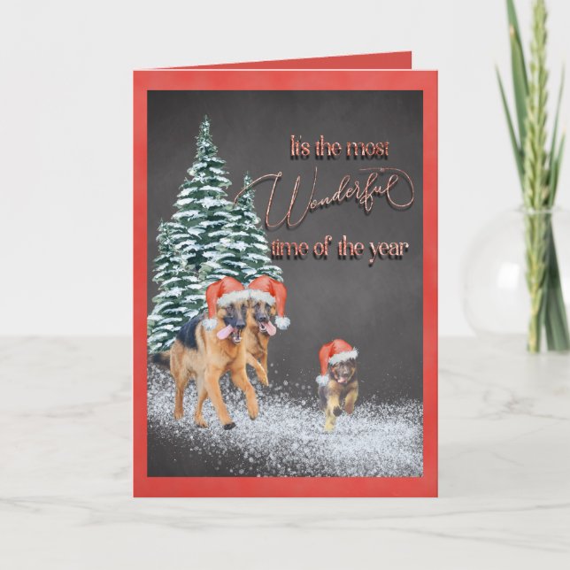 Fun Holiday German Shepherds with  Santa Hats (Front)