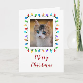 Fun Holiday Lights Pet Photo Frame Christmas Card