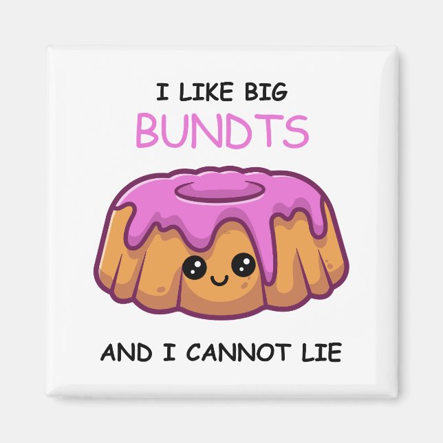 Fun I Like Big Bundts and I Cannot Lie  Magnet (Front)