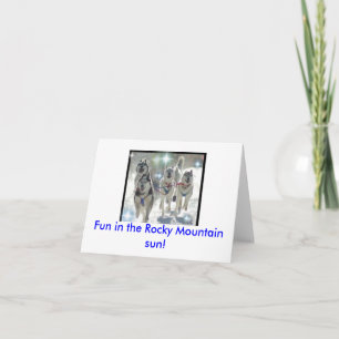 Fun in the Rocky Mountain sun! Card