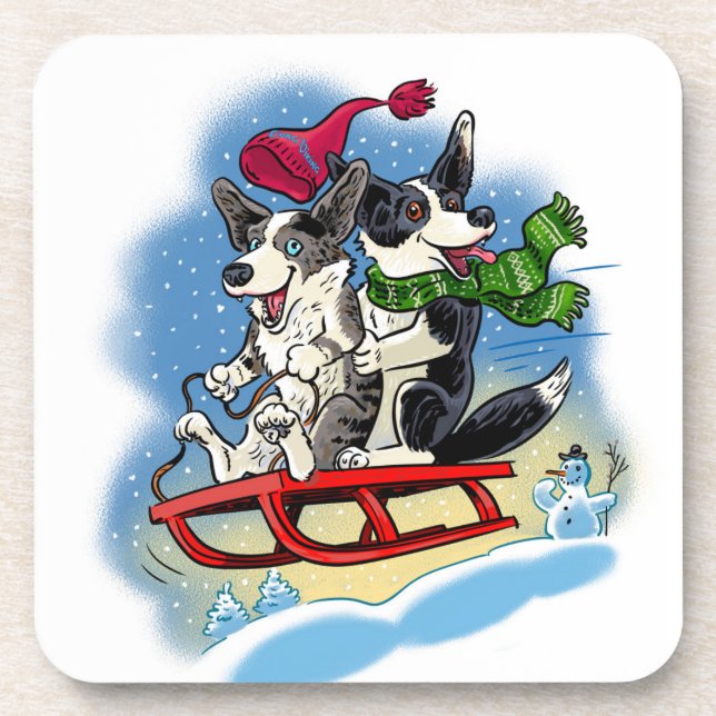 Fun in the snow coaster (Front)