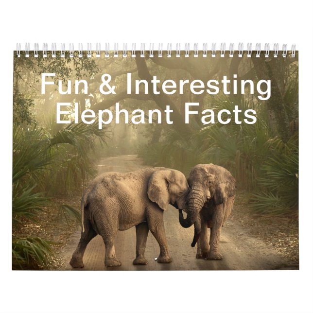 Fun & Interesting Facts About Elephants Calendar (Cover)