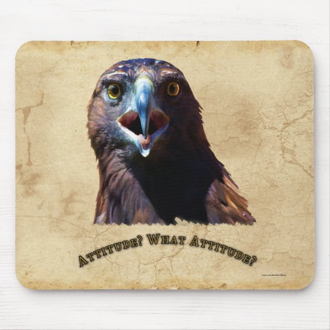 Fun Juvenile Bald Eagle Bad Attitude Wildlife Mouse Pad (Front)