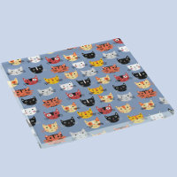 Fun Kitty Cat Pattern