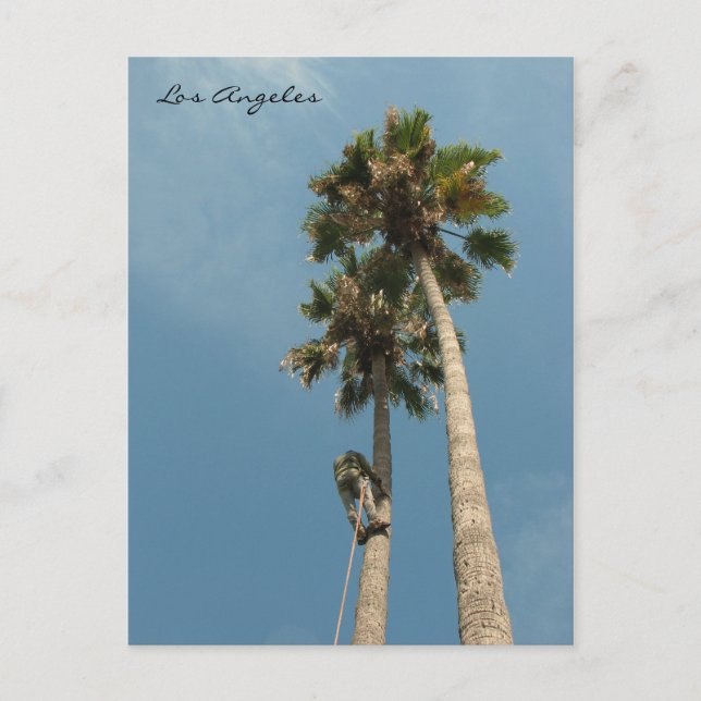 Fun Los Angeles Postcard! Postcard (Front)