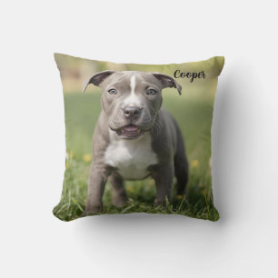 Fun-loving Pit Bull Personalised Cushion