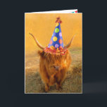 Fun Loving Scottish Highland Steer Birthday Card<br><div class="desc">Super silly card featuring a festive steer who knows how to party! Personalise the message and have fun. Thanks for looking! Photo ©Christine Greenspan</div>