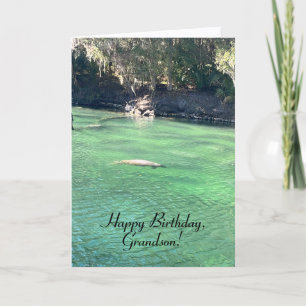 Fun, Manatee, Bird, Butterfly, Grandson Birthday Card